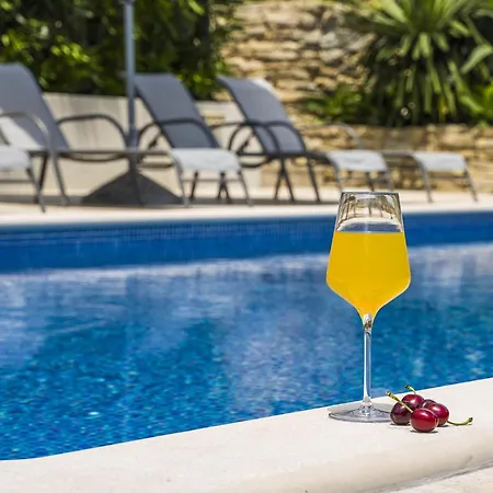 Dvori Vi Kovi-seven Bedroom With Swimming Pool 别墅 *